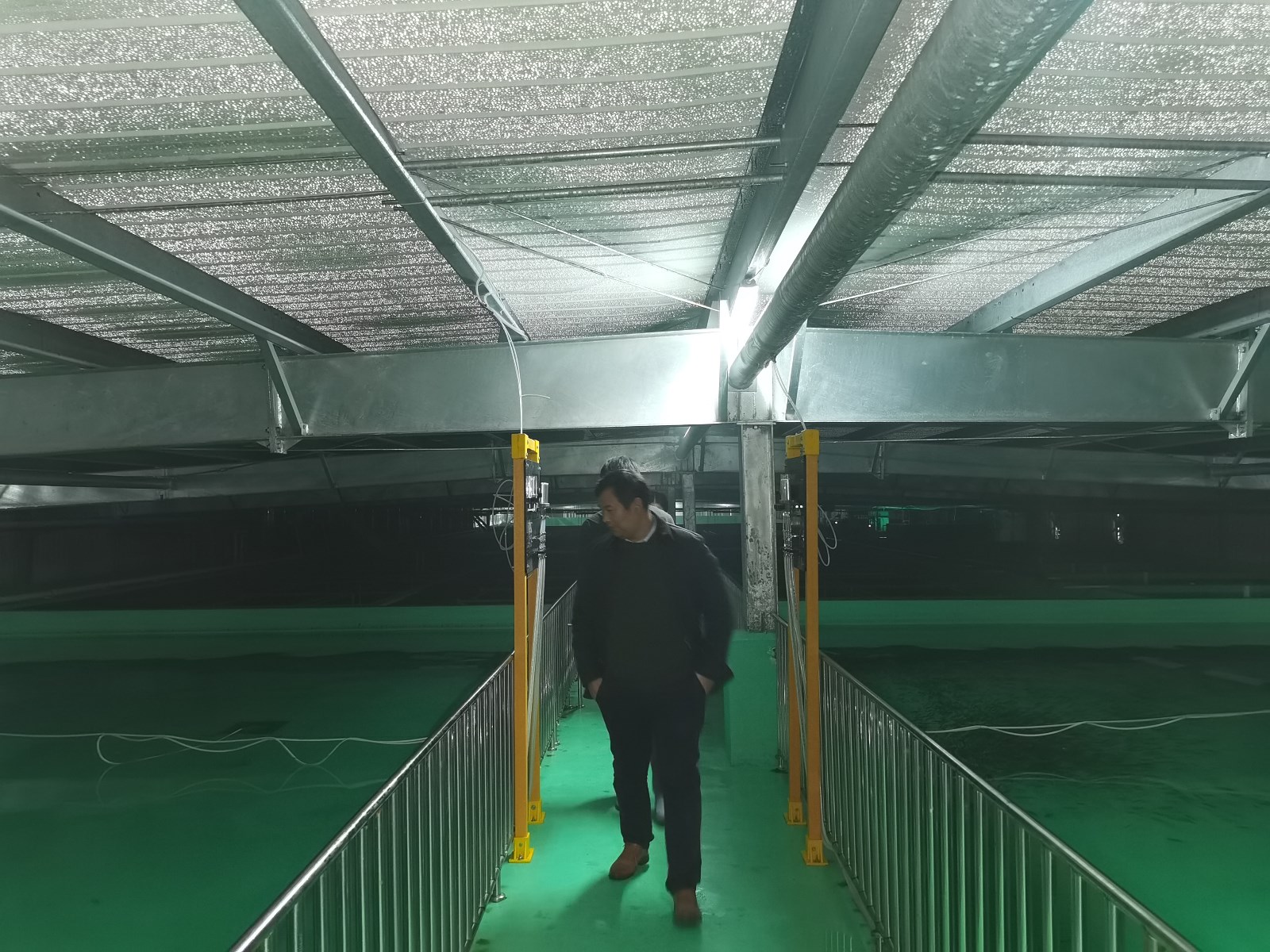 597da59ba41dec8346f840e31aaad3a.jpg 597da59ba41dec8346f840e31aaad3a.jpg